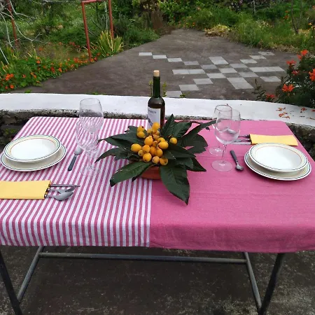 Dom wakacyjny Casa Jacaranda