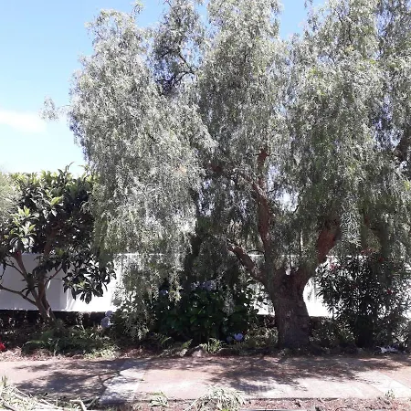 Casa Jacaranda Dom wakacyjny