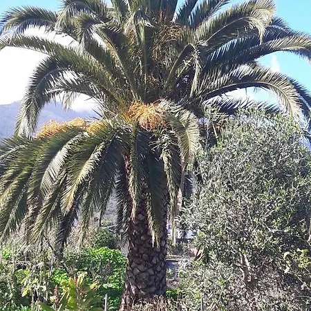 Casa Jacaranda Dom wakacyjny *